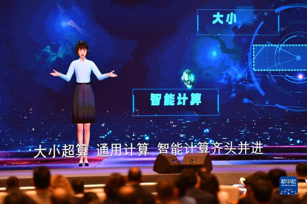 大赢家app官网